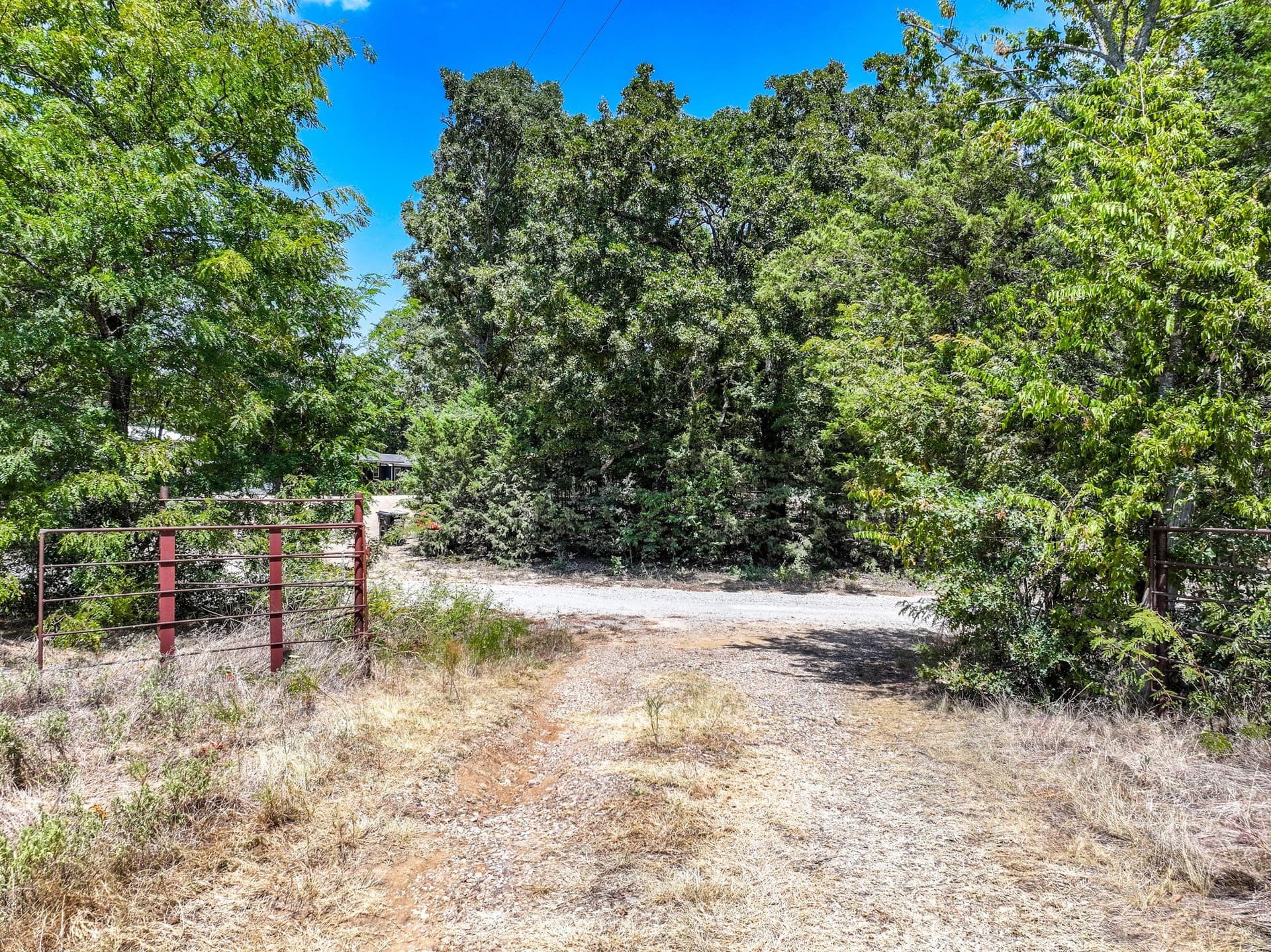 65 acres in Fannin County - photo 13