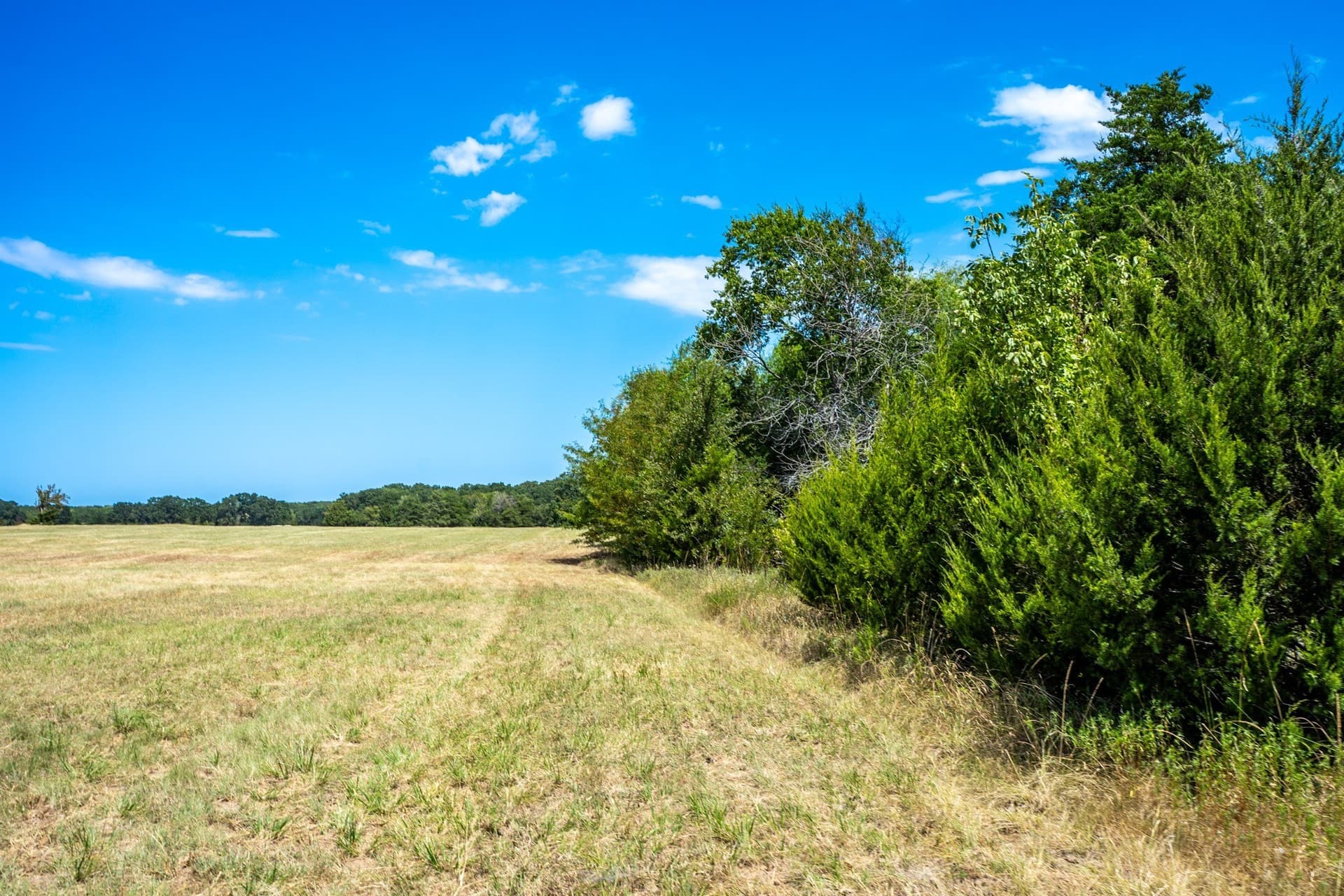 65 acres in Fannin County - photo 31
