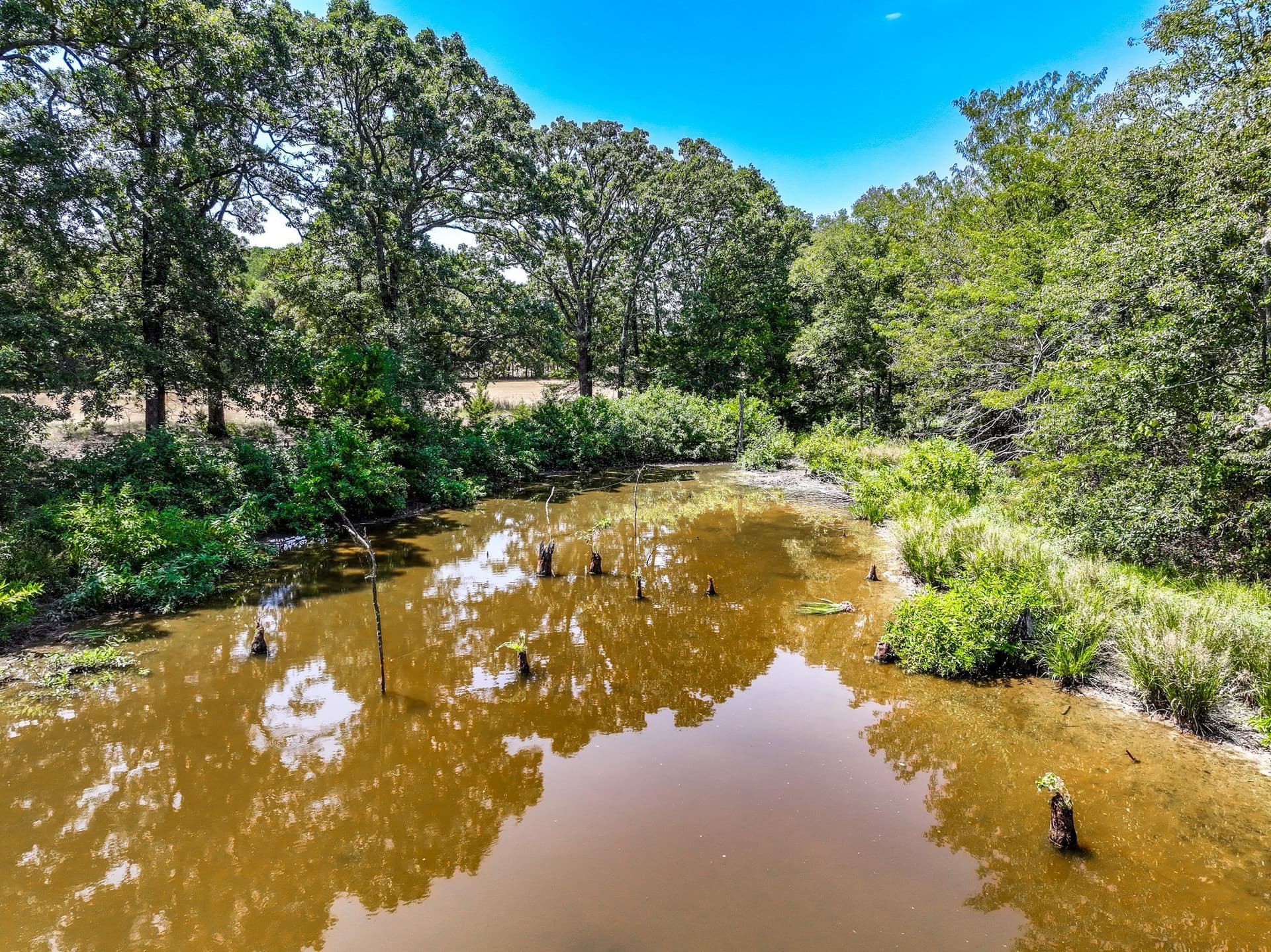 65 acres in Fannin County - photo 8
