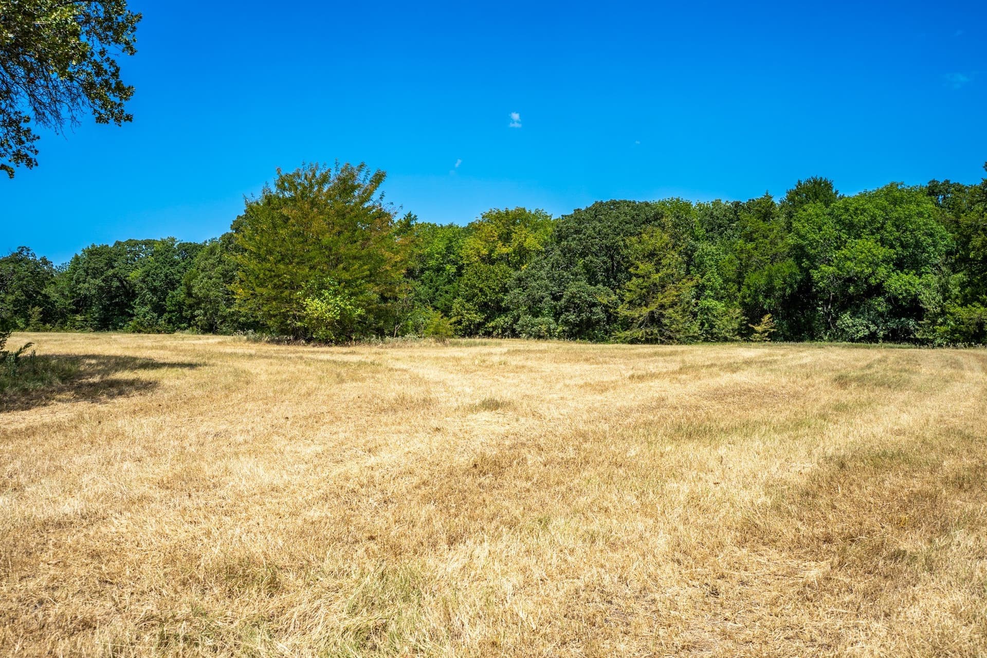 65 acres in Fannin County - photo 37
