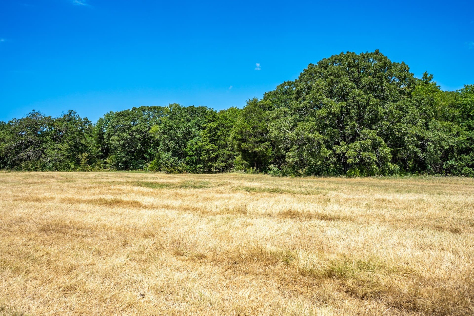 65 acres in Fannin County - photo 36