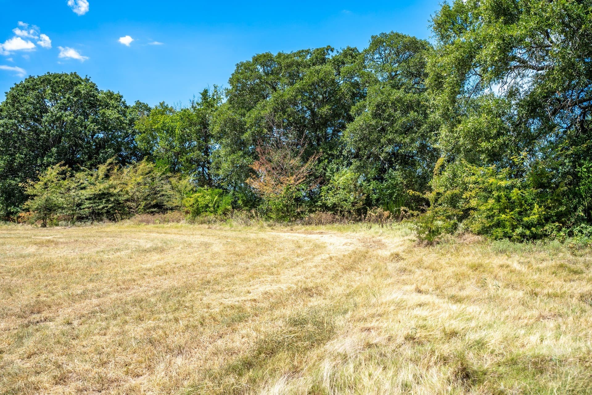 65 acres in Fannin County - photo 26