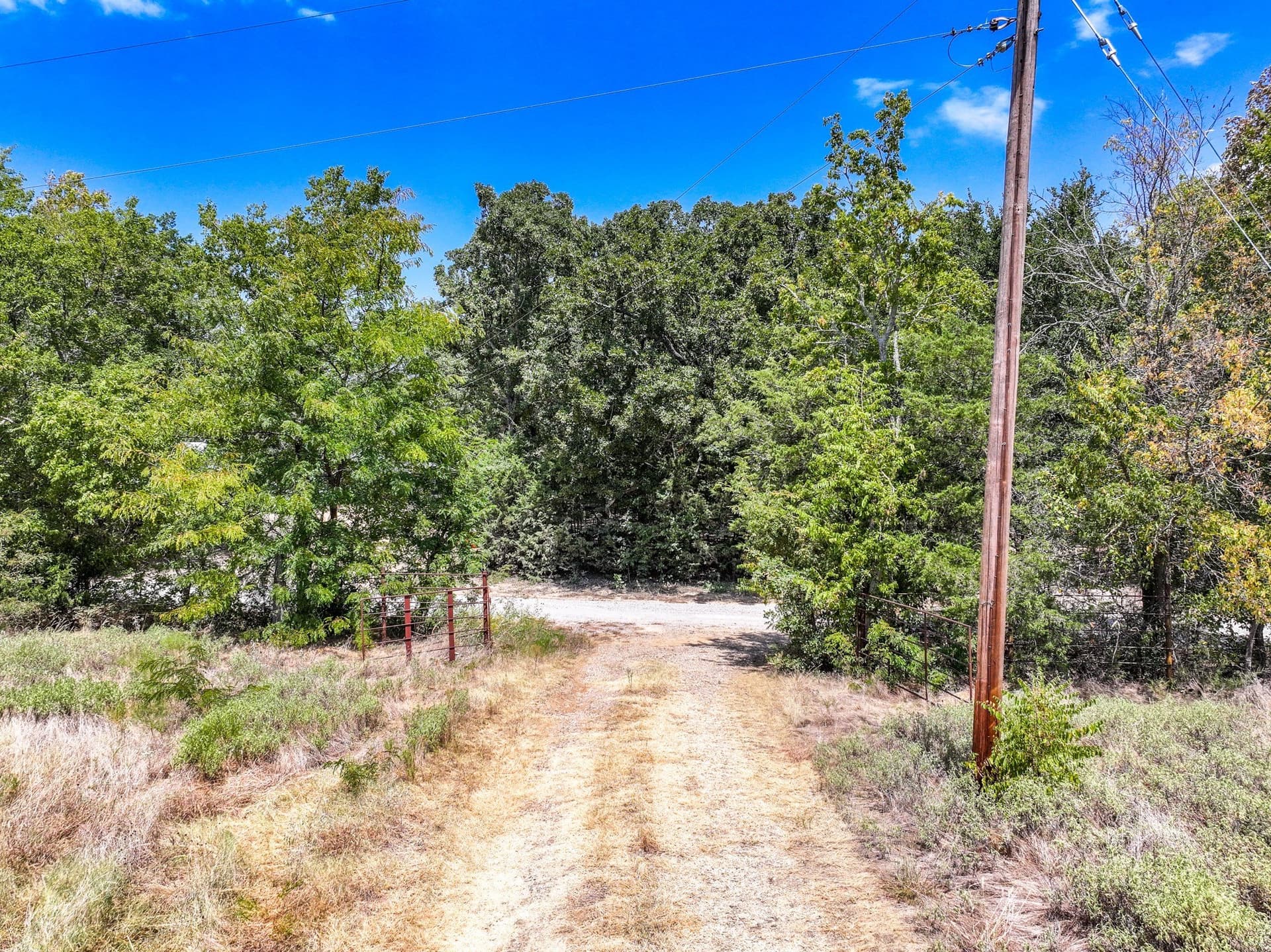 65 acres in Fannin County - photo 12