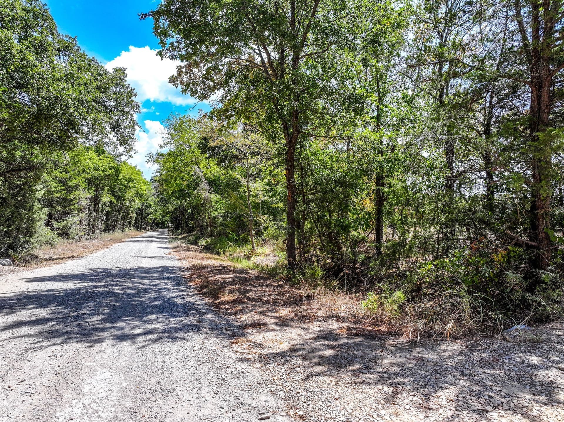 65 acres in Fannin County - photo 15