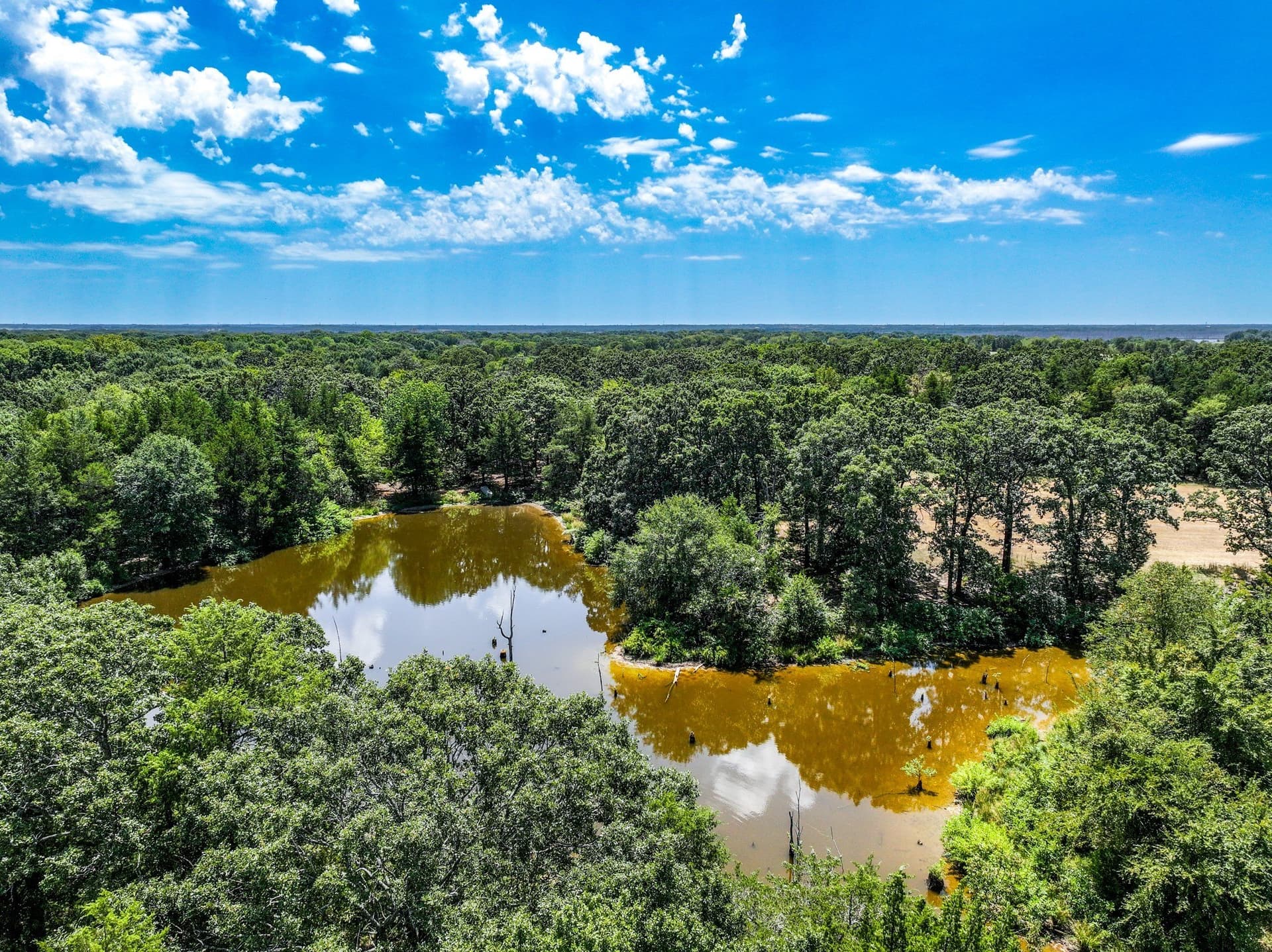 65 acres in Fannin County - photo 5