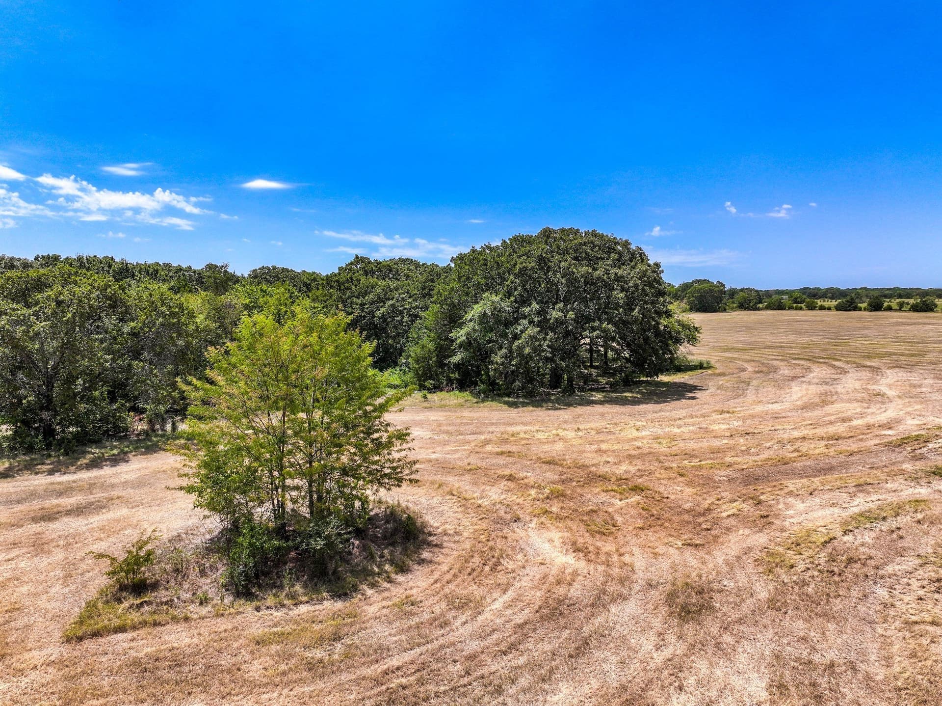 65 acres in Fannin County - photo 4