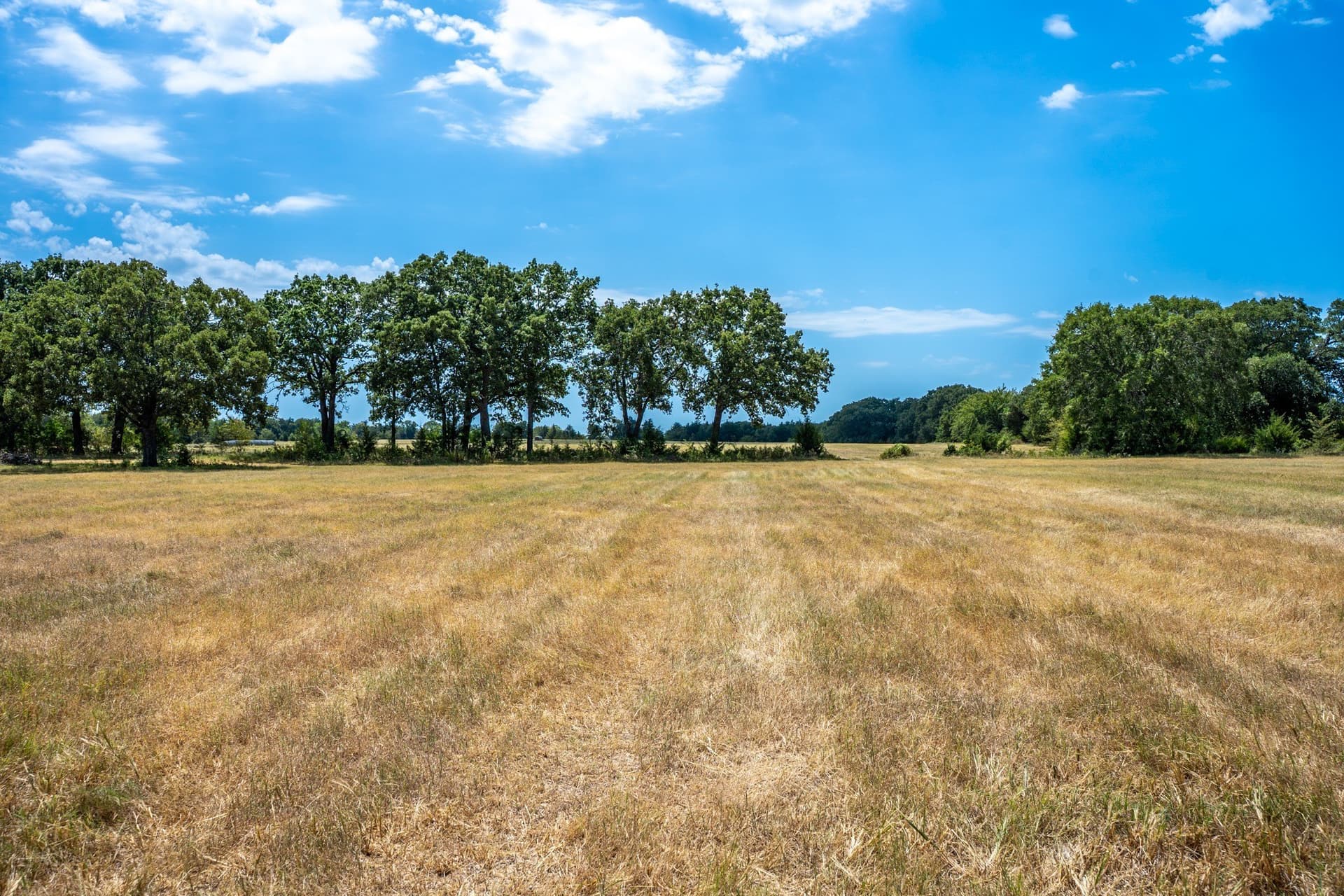 65 acres in Fannin County - photo 25