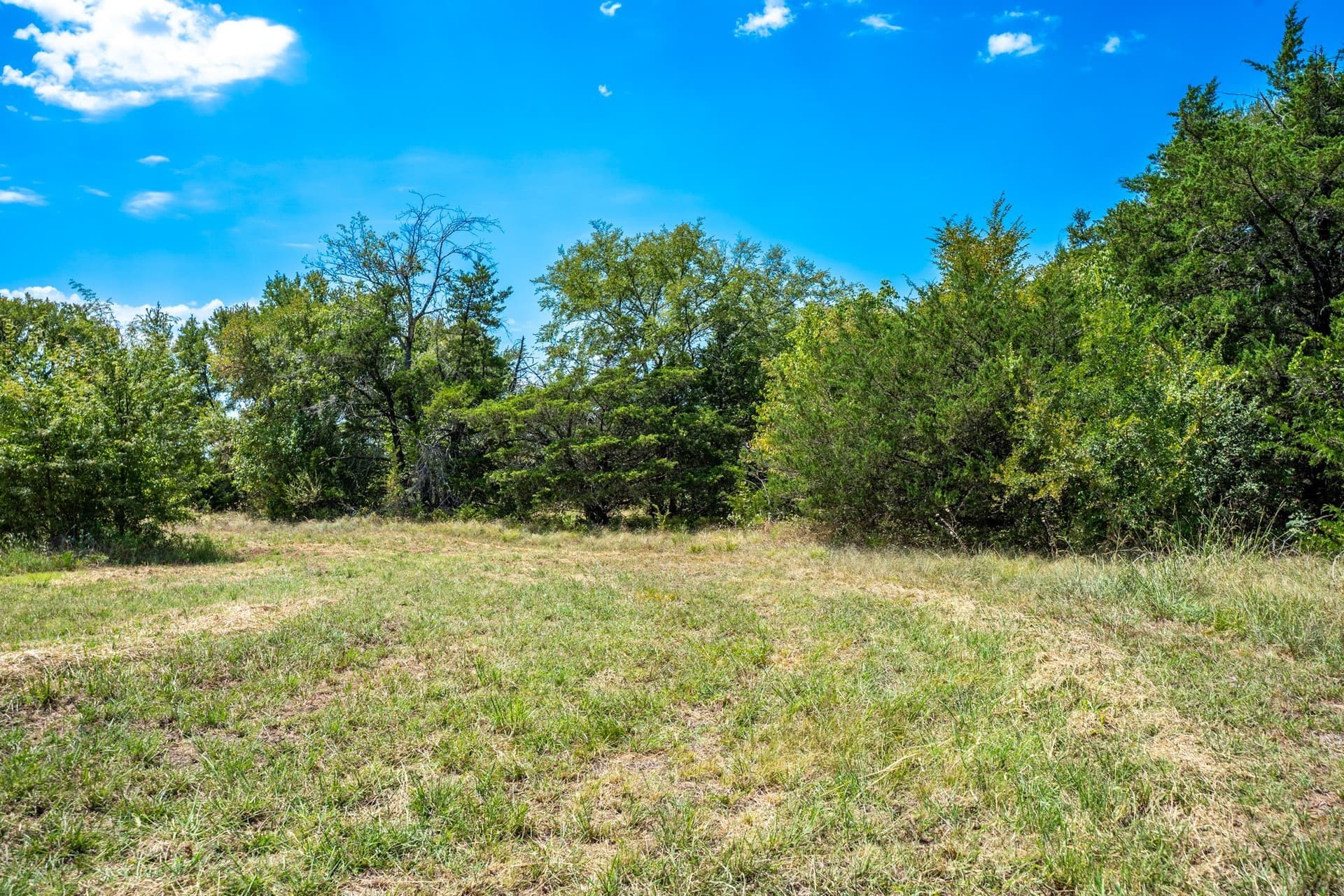 65 acres in Fannin County - photo 29