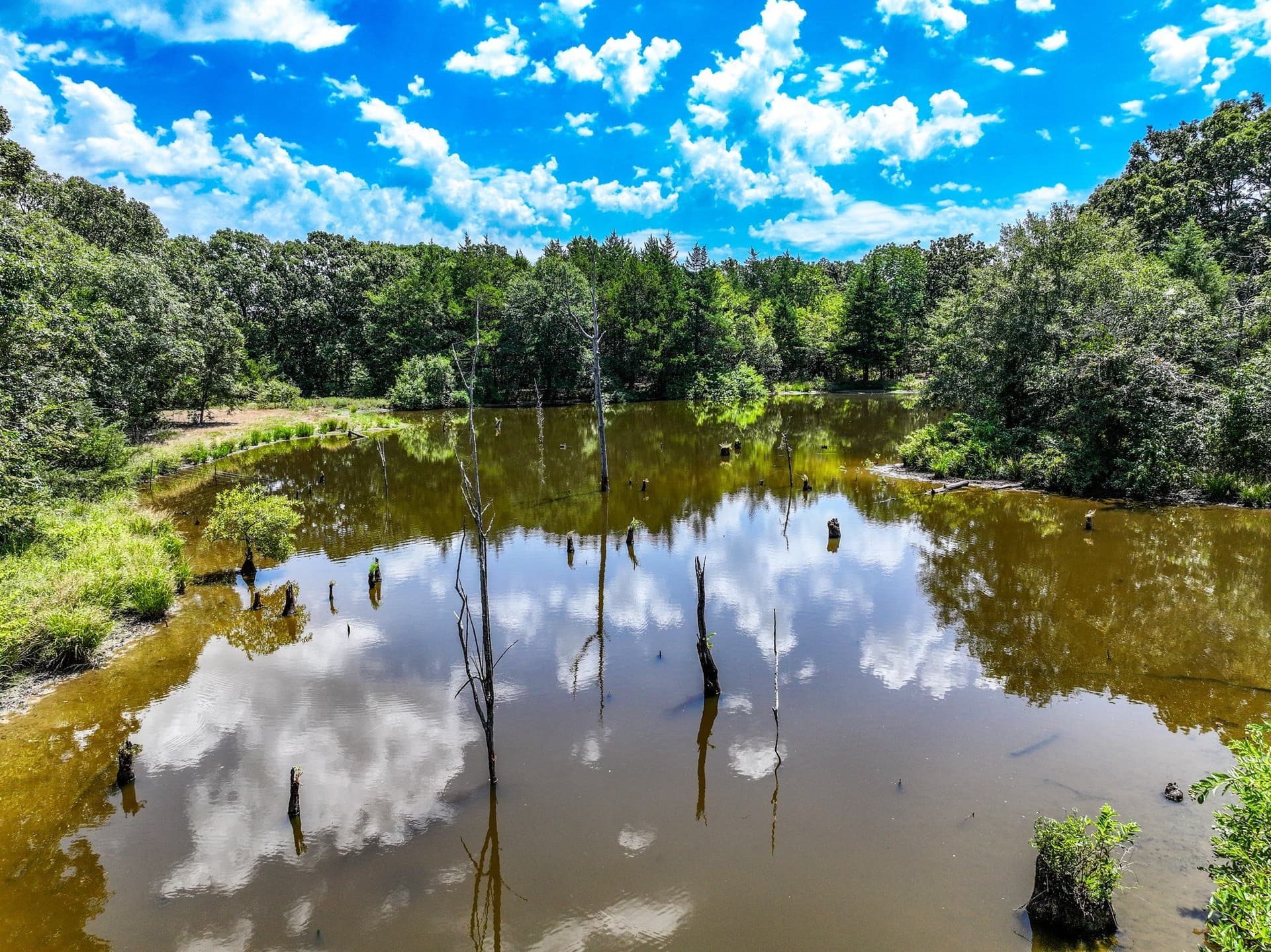 65 acres in Fannin County - photo 7