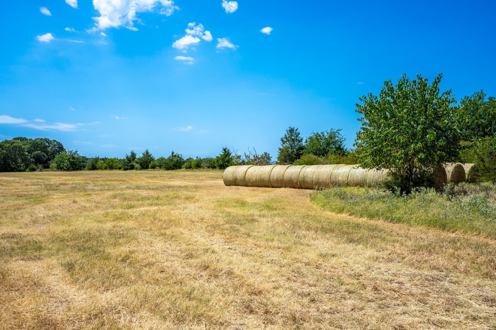 65 acres in Fannin County - photo 24
