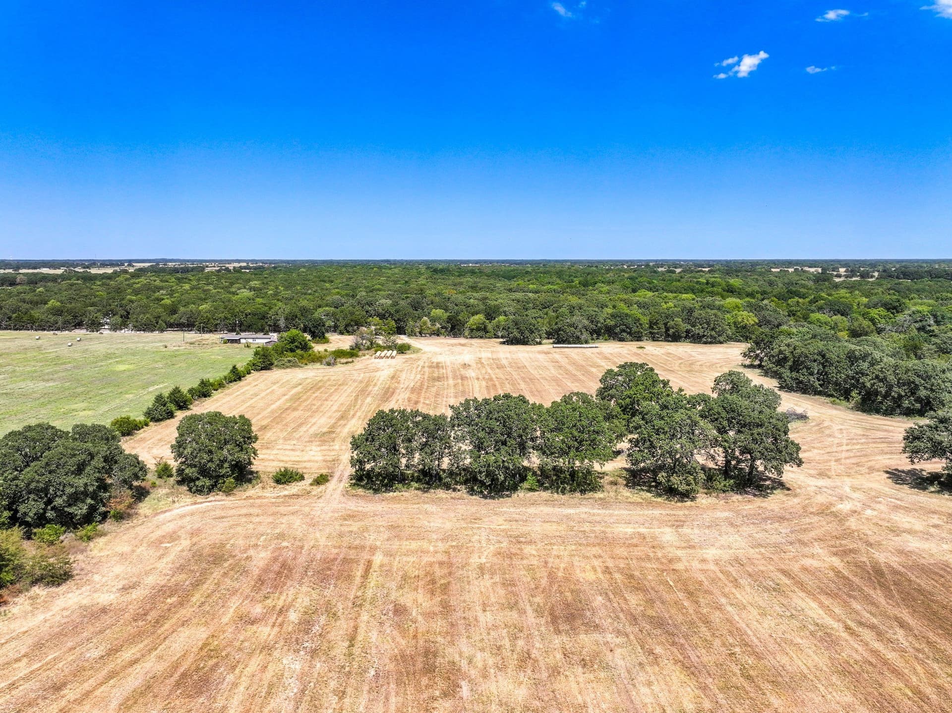 65 acres in Fannin County - photo 20