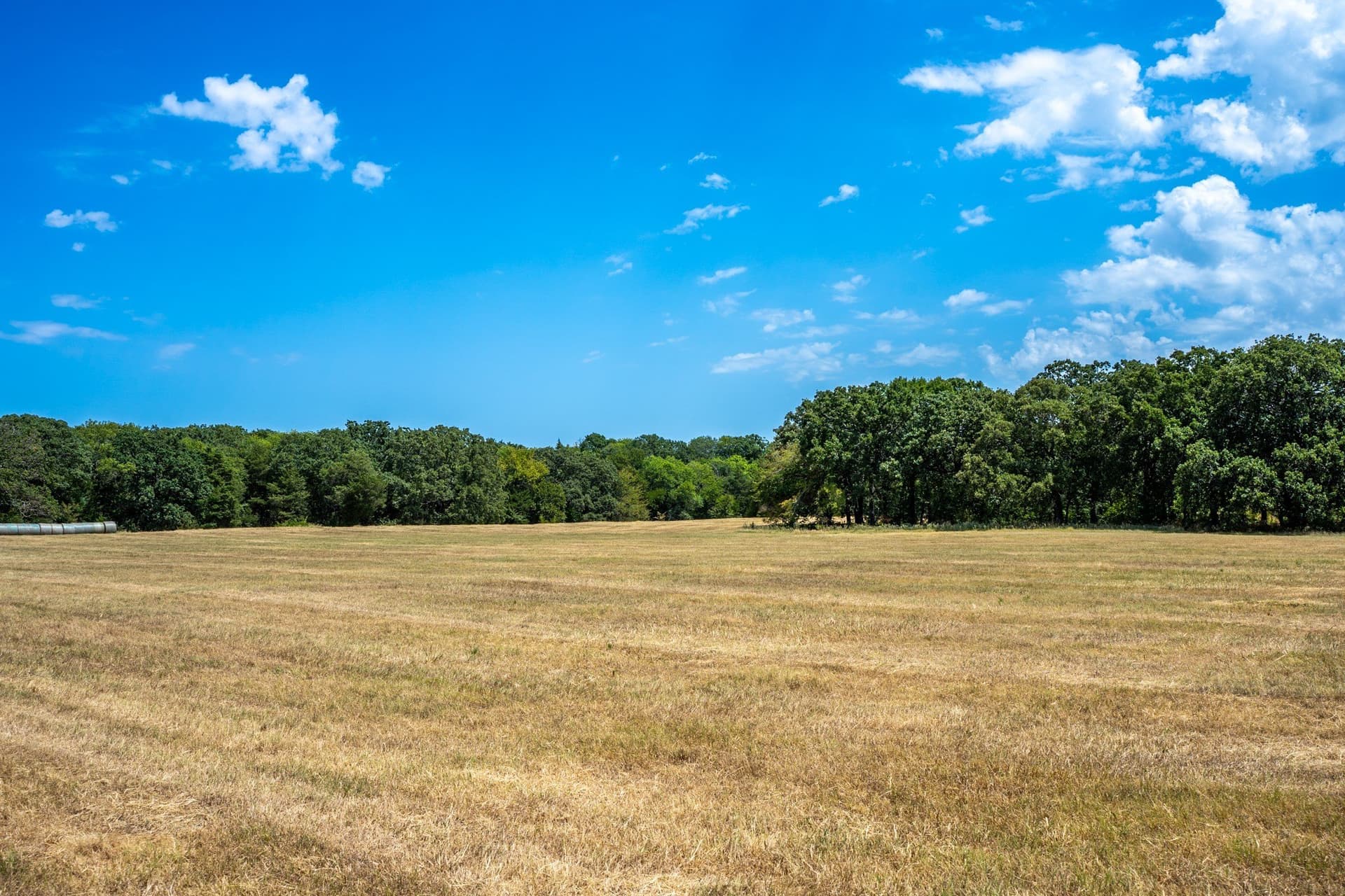 65 acres in Fannin County - photo 38