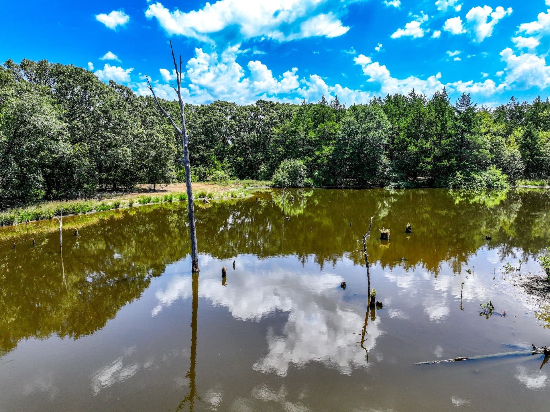 65 acres in Fannin County - photo 9