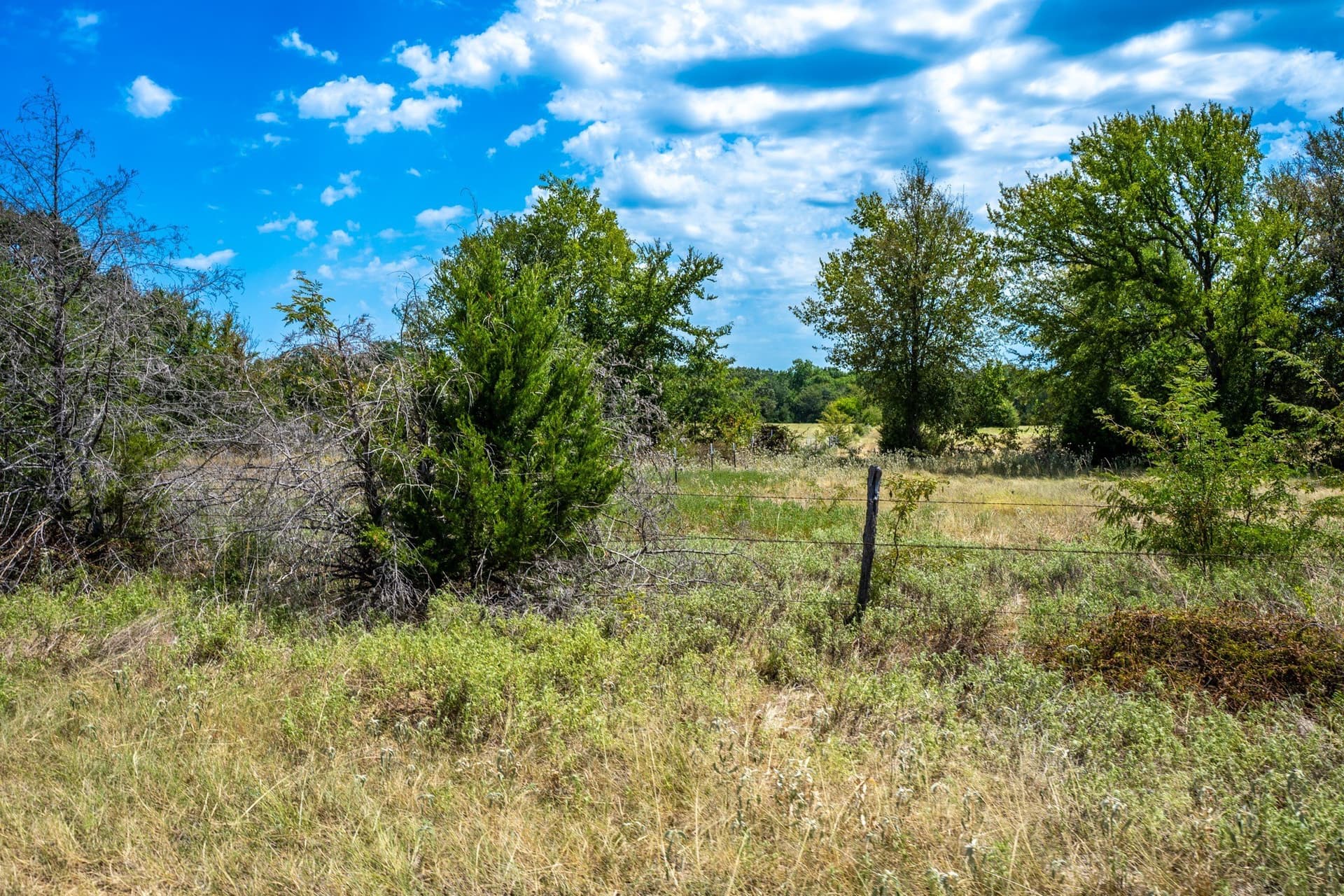 65 acres in Fannin County - photo 40