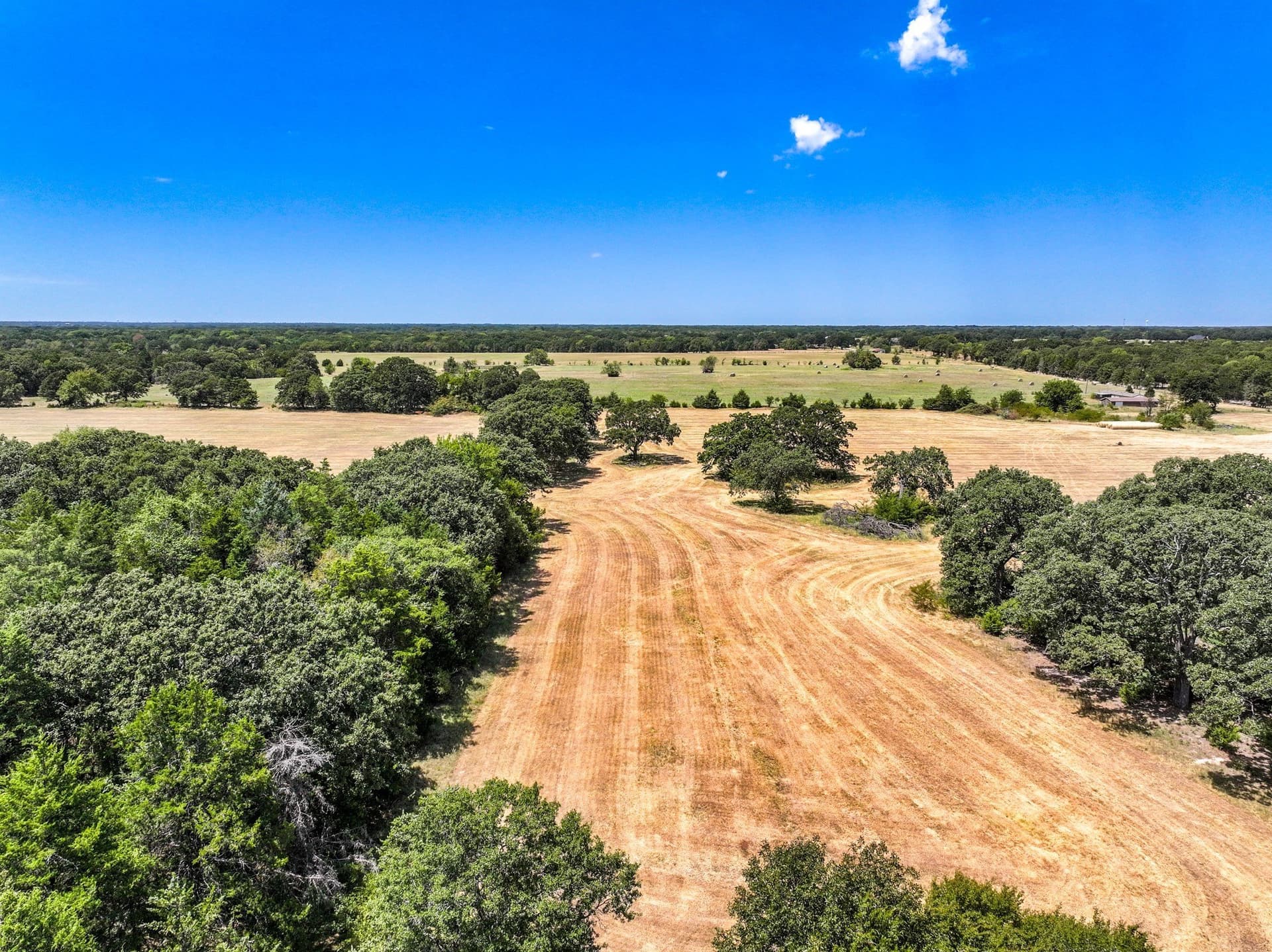 65 acres in Fannin County - photo 19