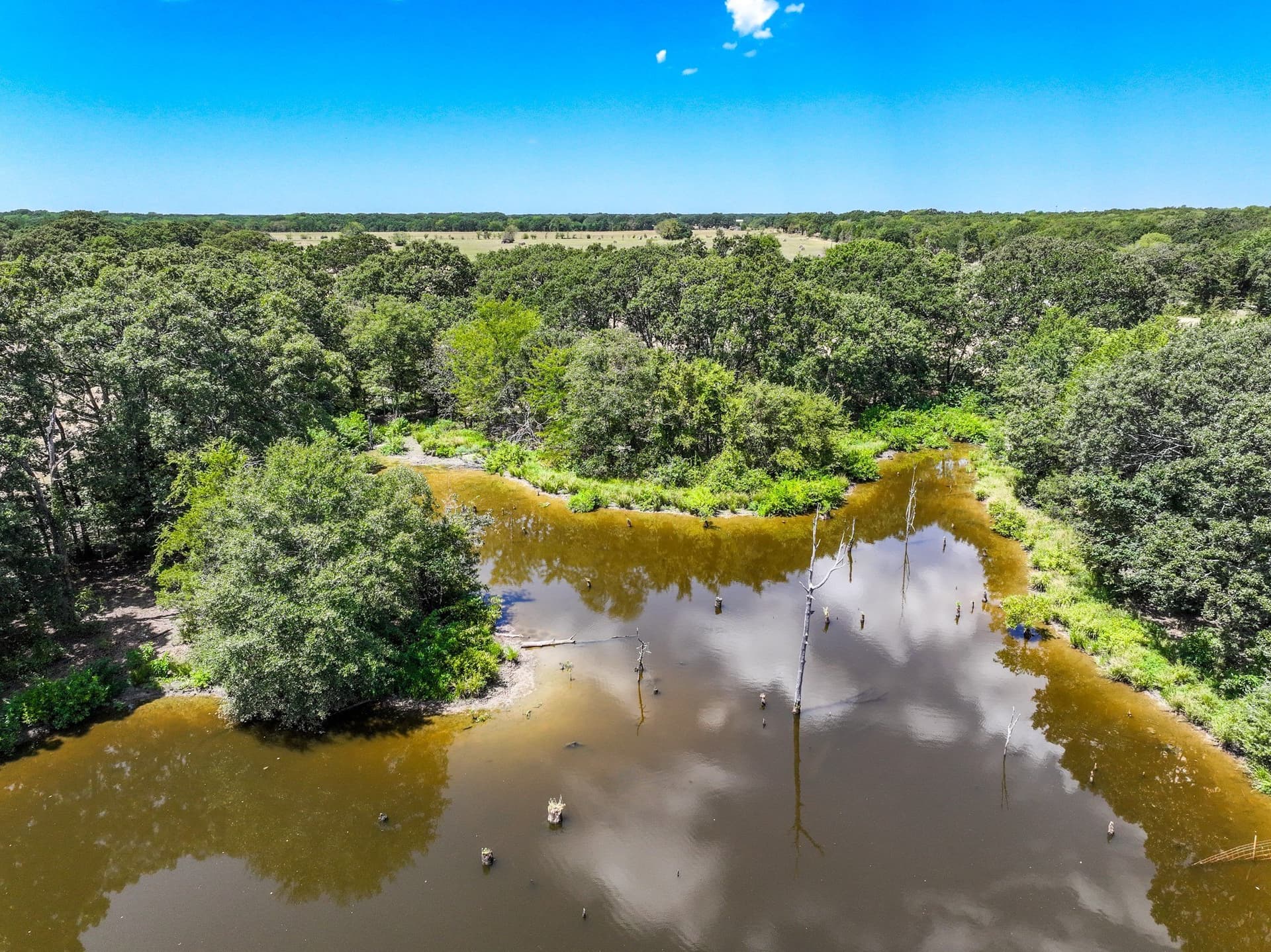 65 acres in Fannin County - photo 10