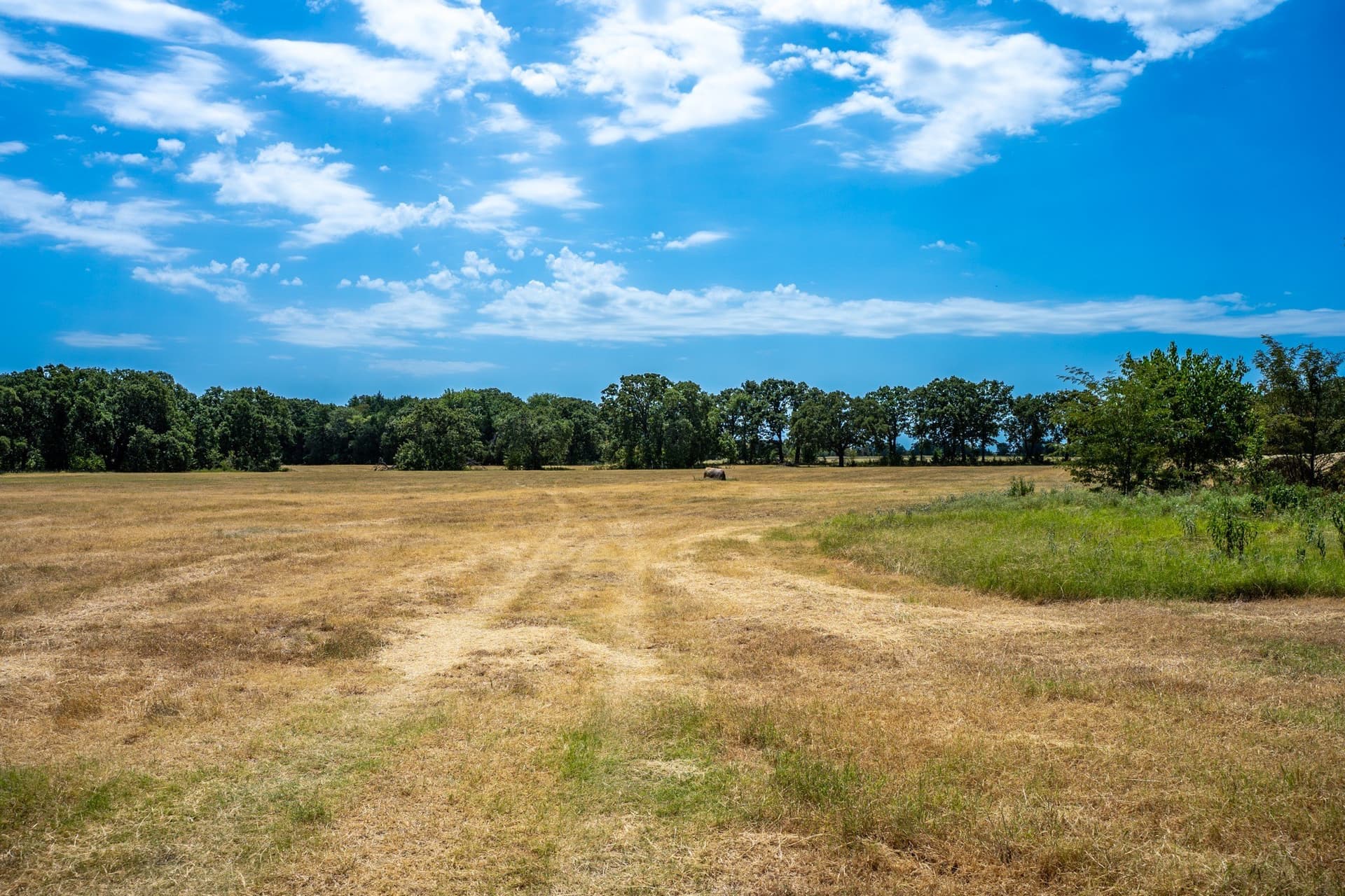 65 acres in Fannin County - photo 23