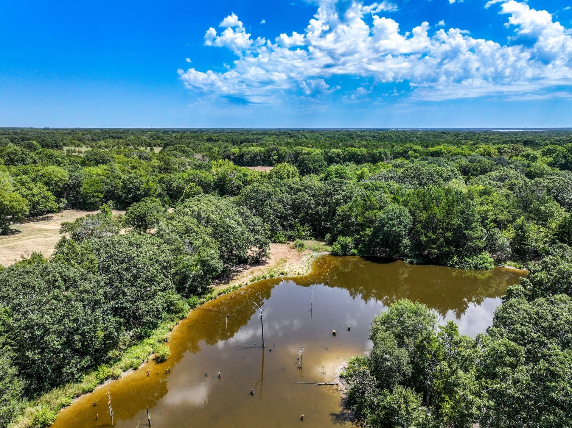 65 acres in Fannin County - photo 6