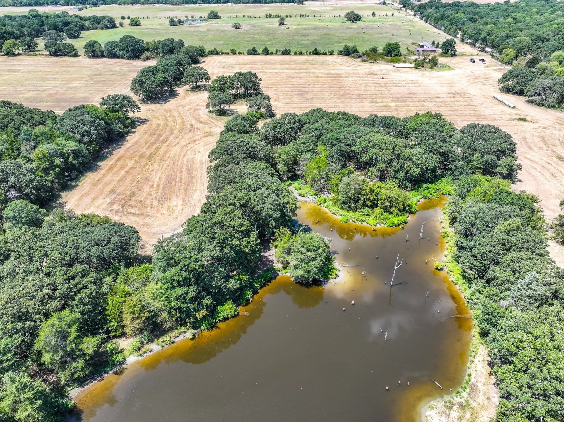 65 acres in Fannin County - photo 11