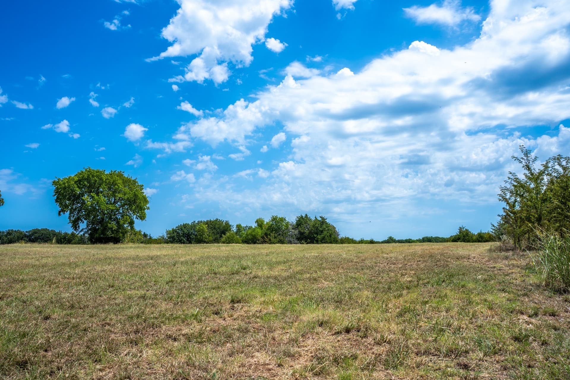 65 acres in Fannin County - photo 30