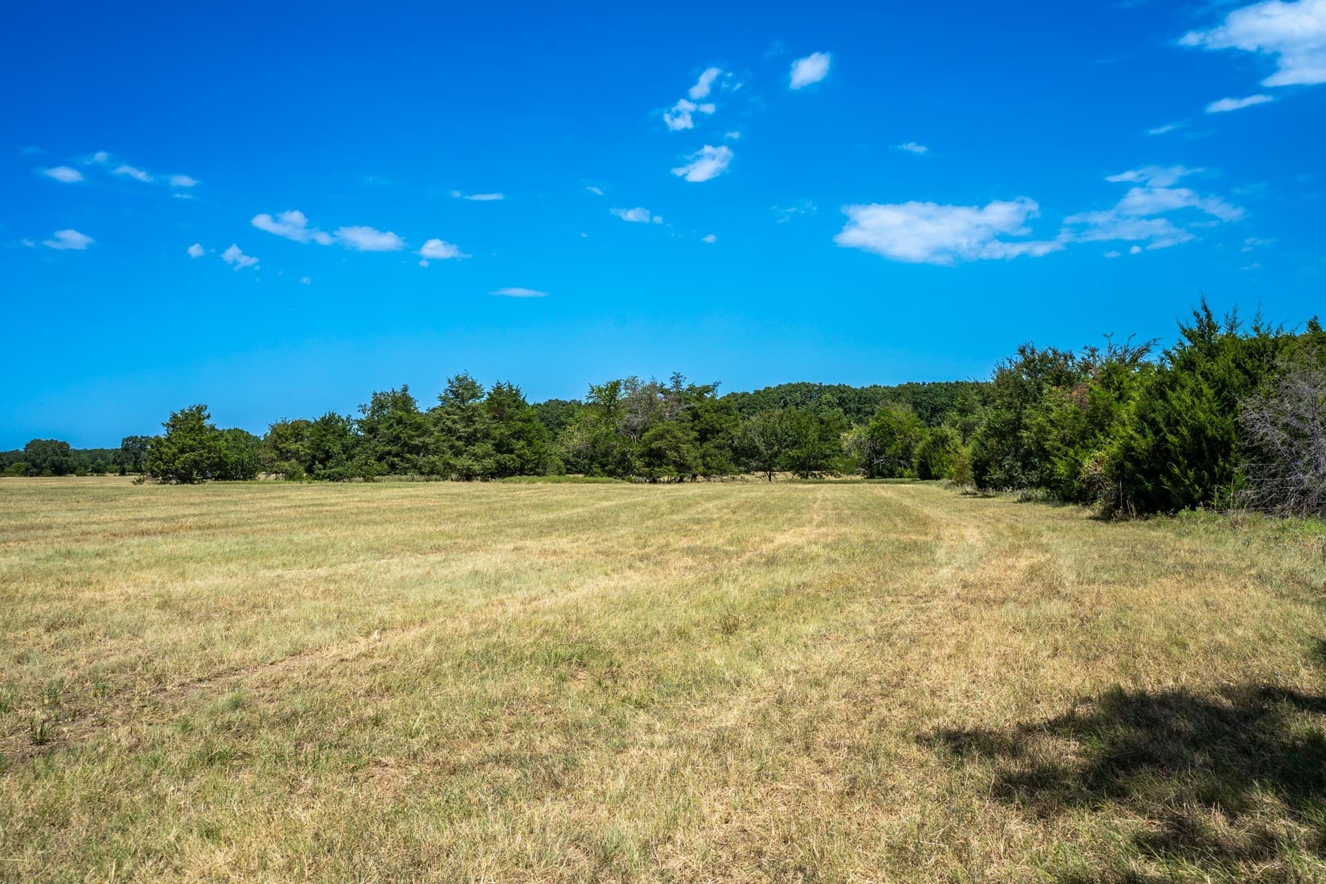 65 acres in Fannin County - photo 33