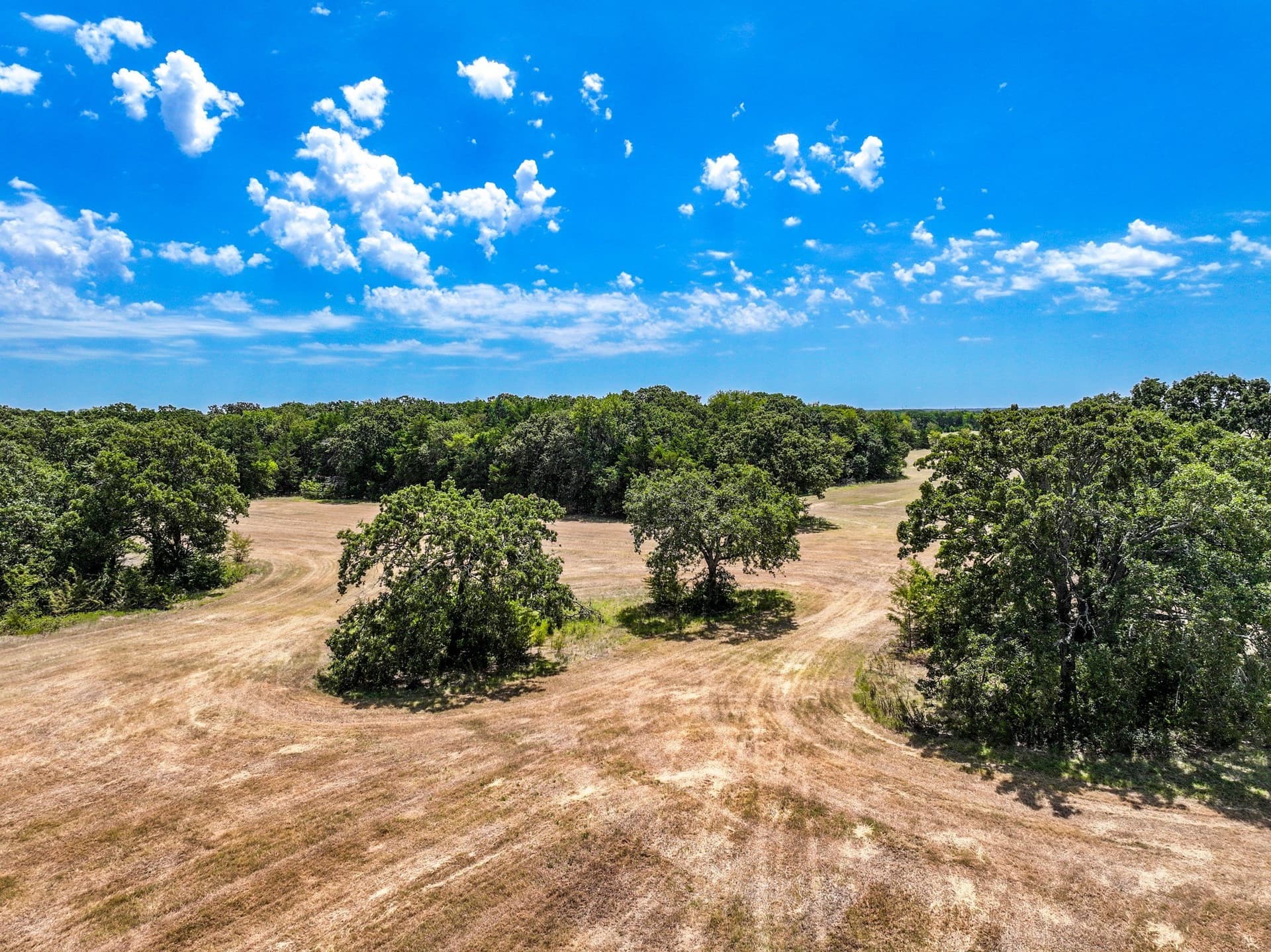 65 acres in Fannin County - photo 17