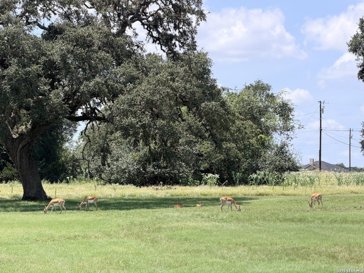 0.86 acres in Bandera County - photo 24