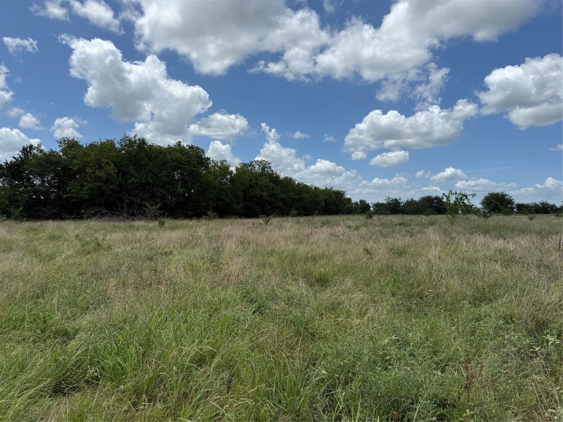 11.81 acres in Hopkins County - photo 4