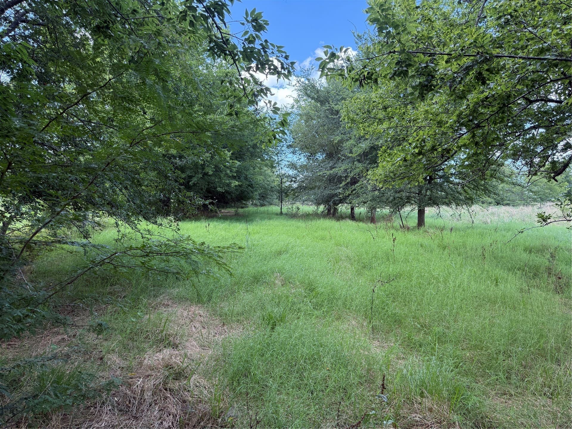 11.81 acres in Hopkins County - photo 8