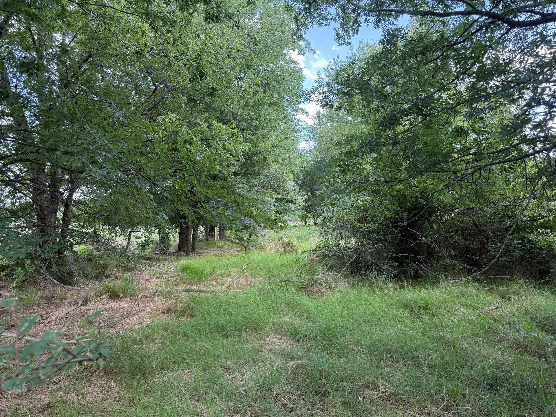 11.81 acres in Hopkins County - photo 7