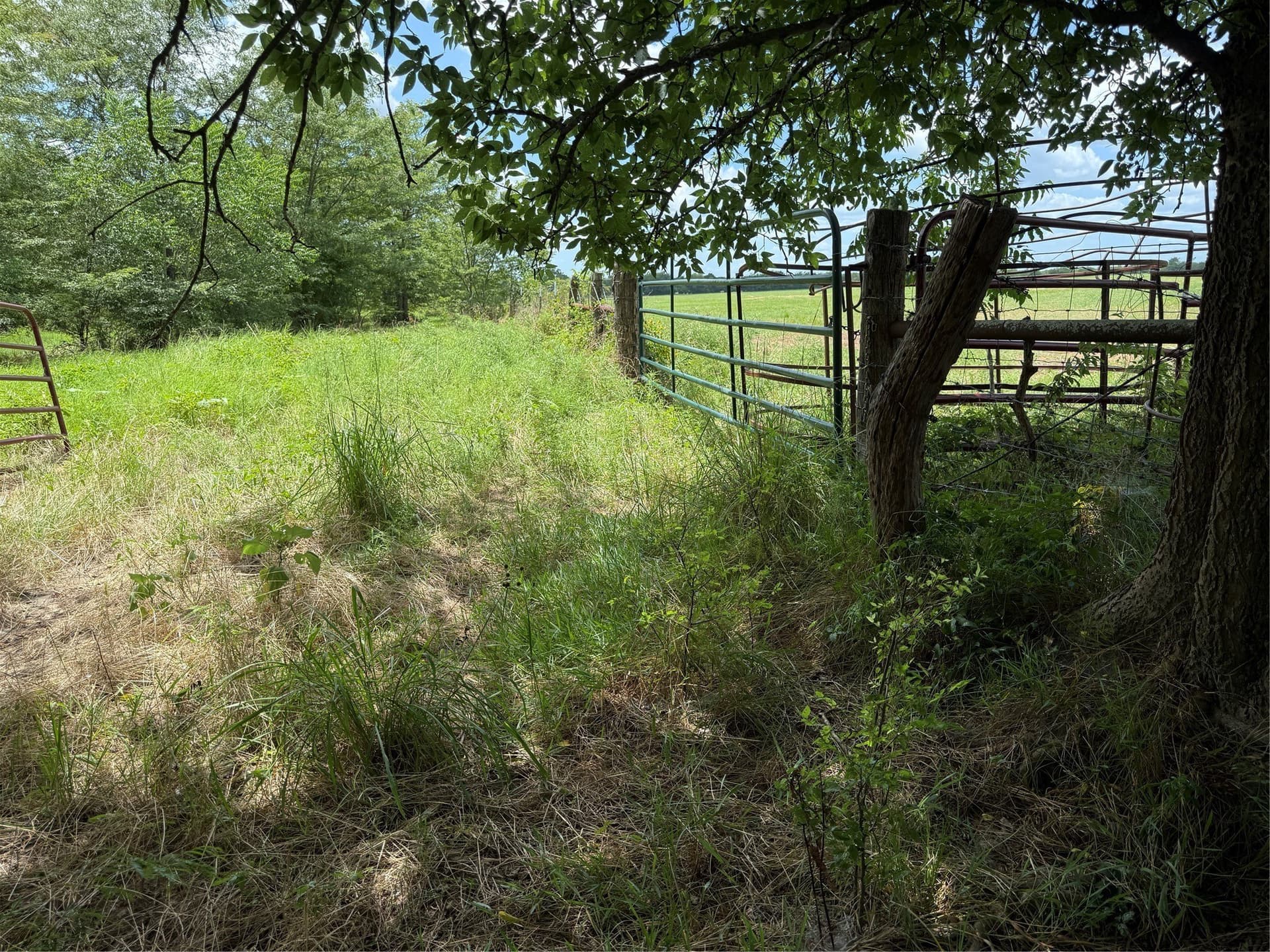 11.81 acres in Hopkins County - photo 2