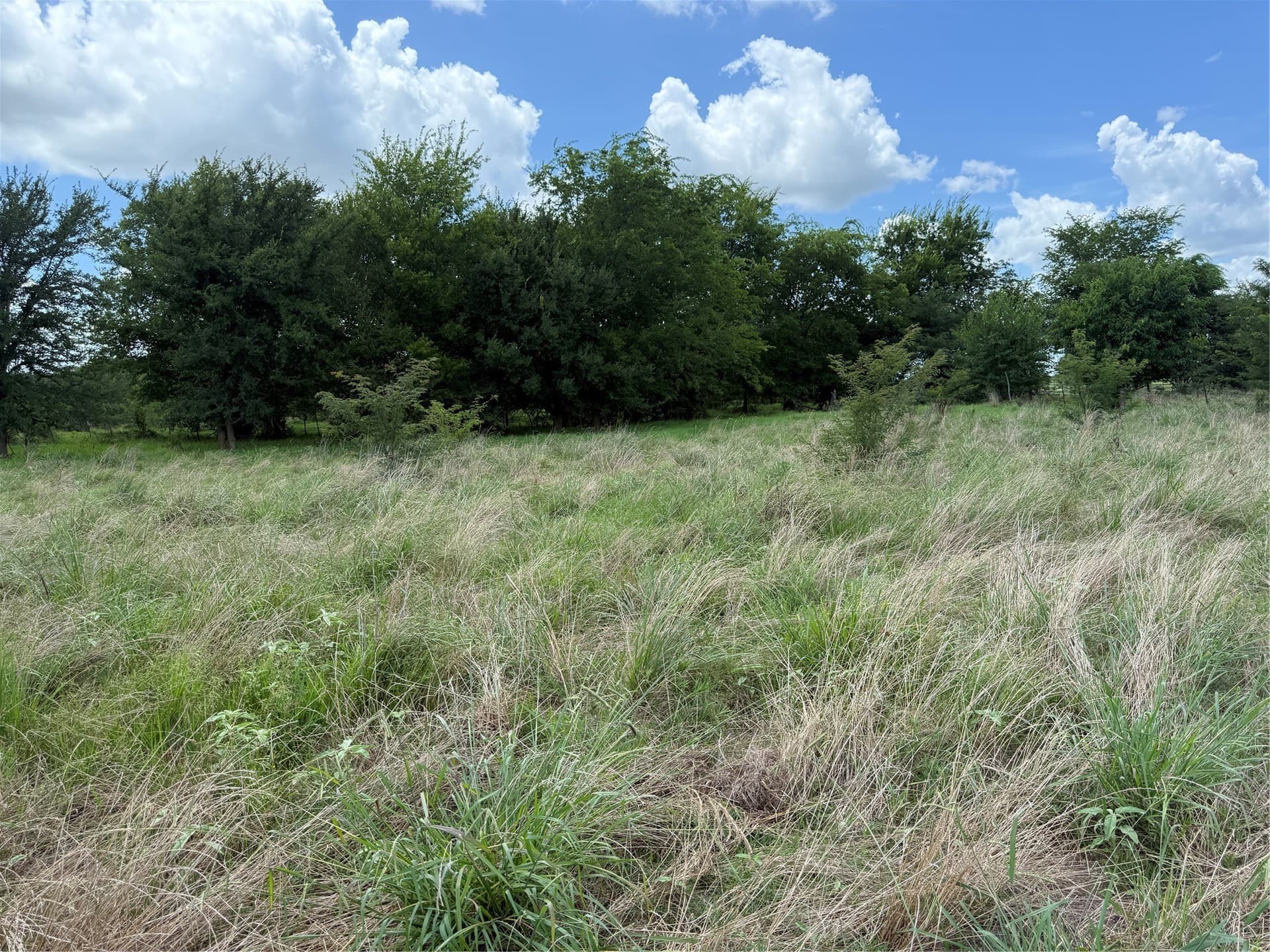 11.81 acres in Hopkins County - photo 5