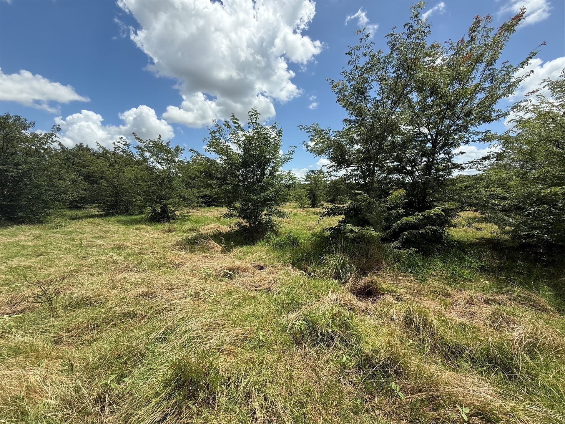 11.81 acres in Hopkins County - photo 6