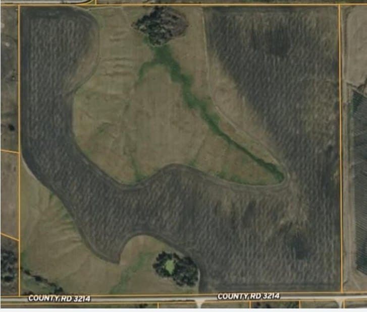 133.44 acres in Hill County gallery image 2