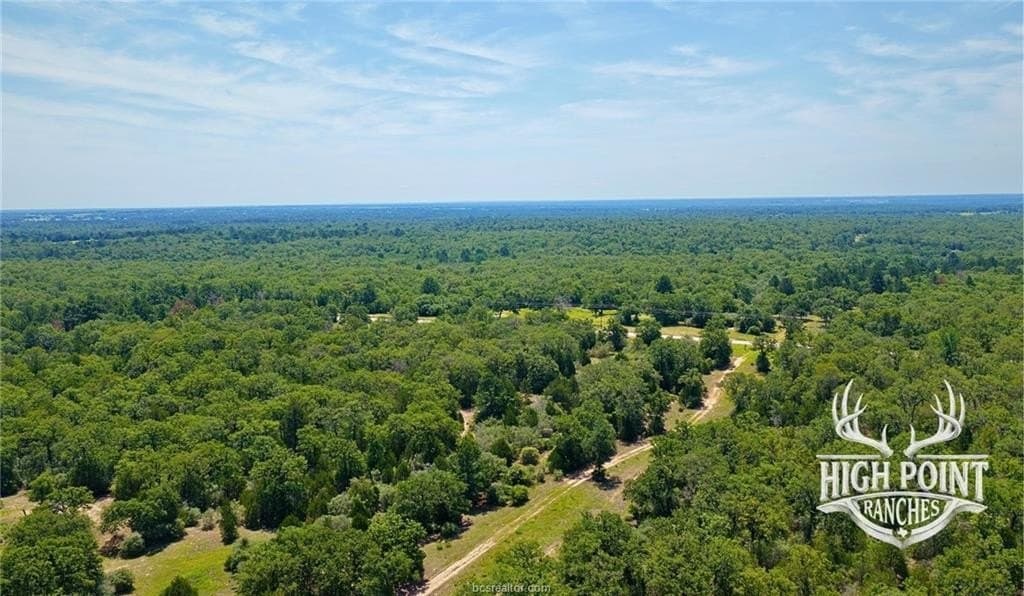 60 acres in Lee County - photo 12