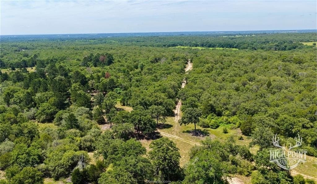 60 acres in Lee County - photo 13