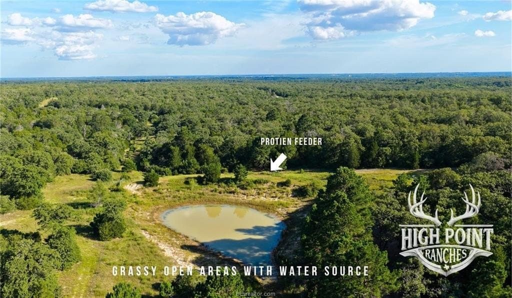 60 acres in Lee County gallery image 4