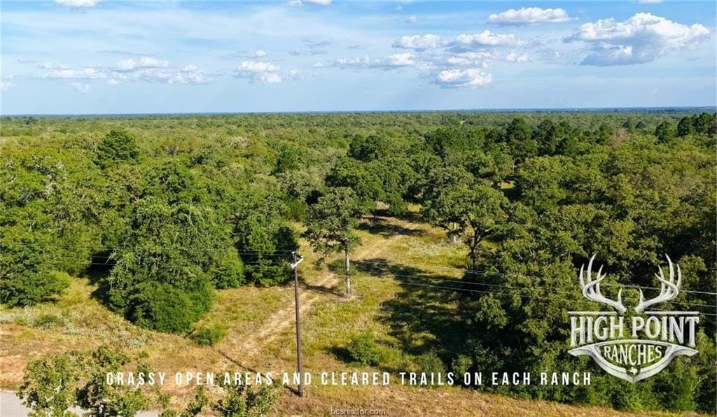 60 acres in Lee County featured view