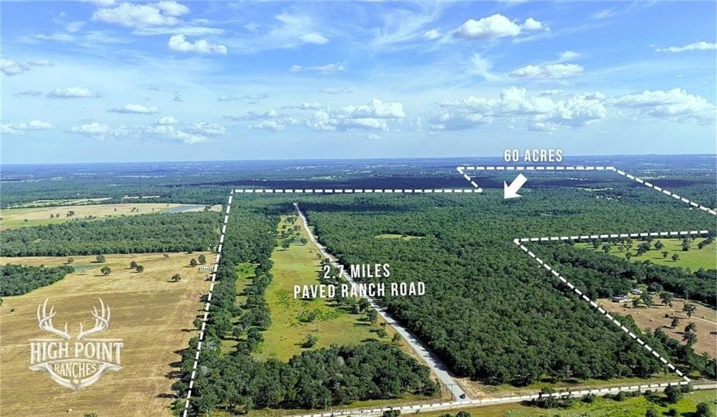 60 acres in Lee County gallery image 3