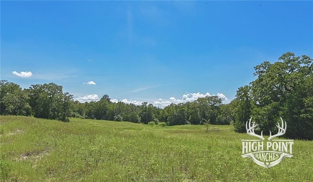 60 acres in Lee County - photo 14