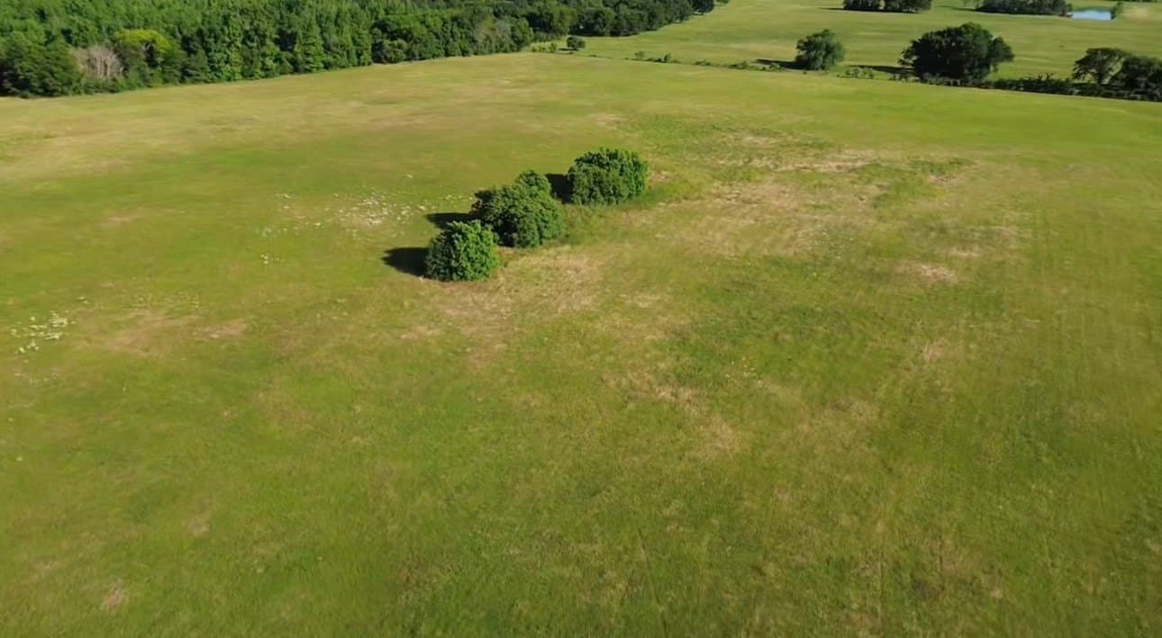 19.68 acres in Smith County - photo 5