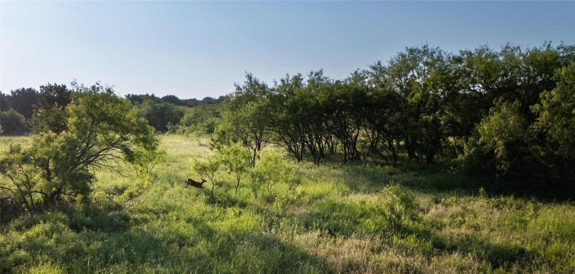 18.93 acres in Parker County - photo 37