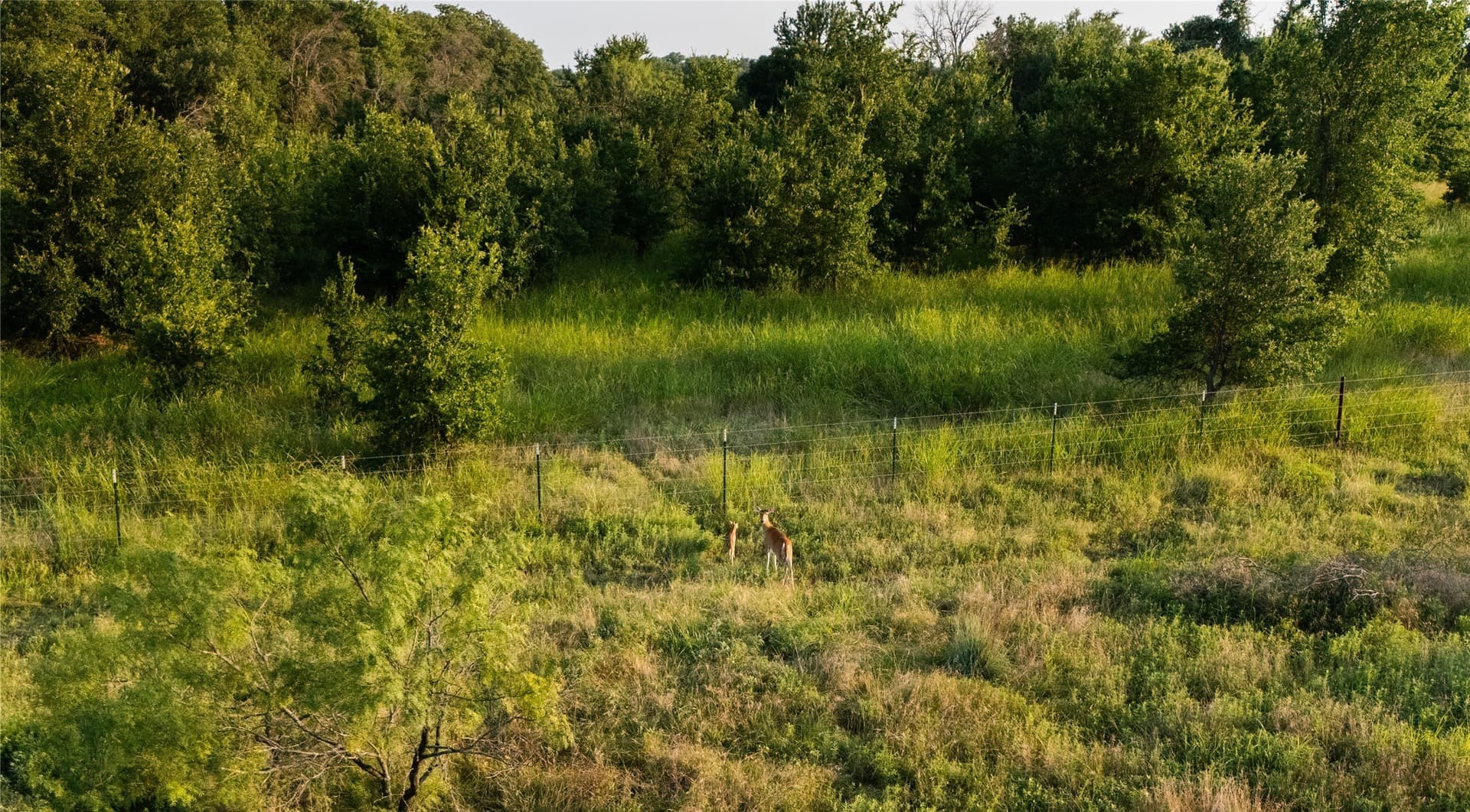 18.93 acres in Parker County - photo 36
