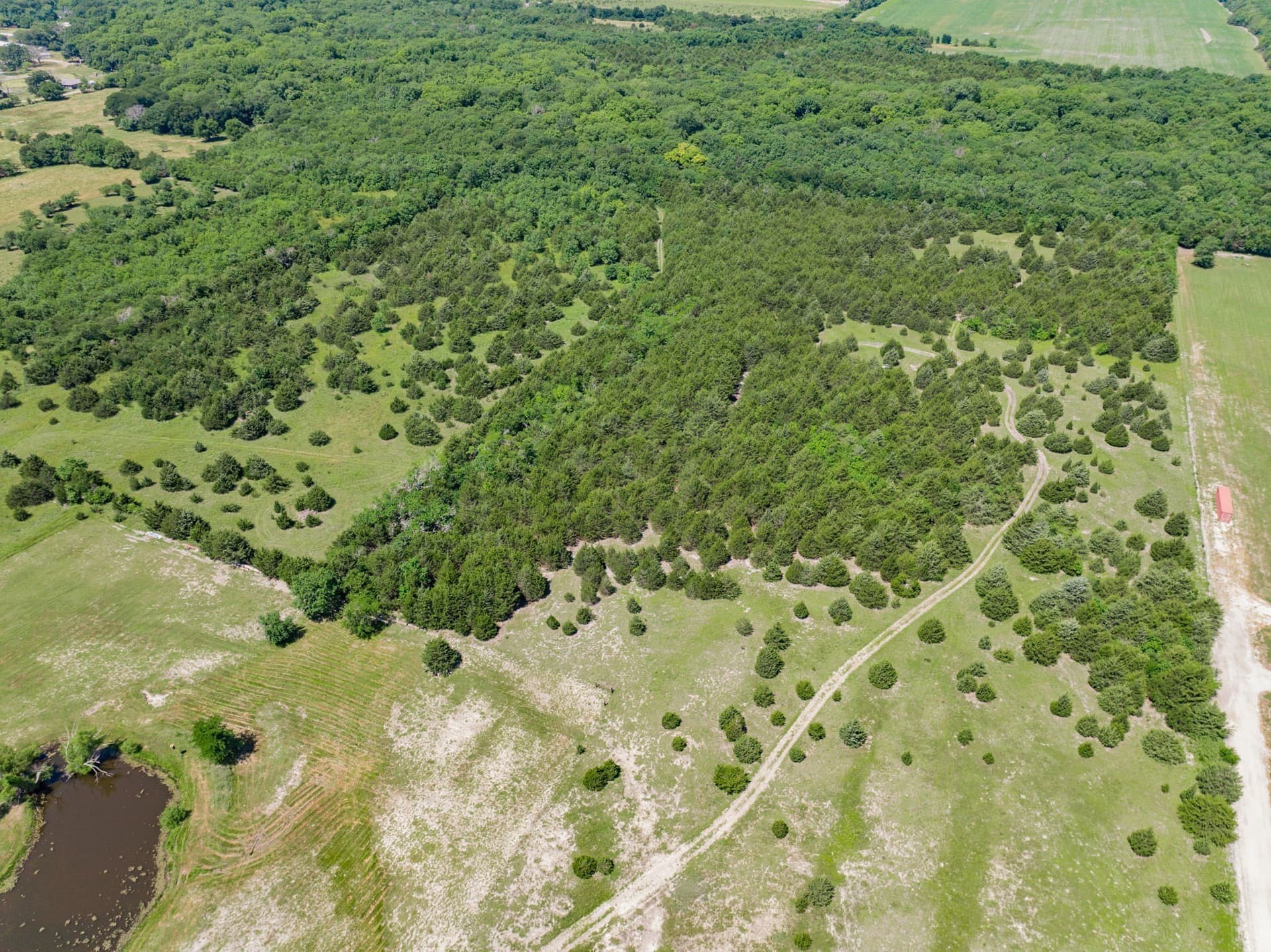 25.51 acres in Hunt County - photo 6