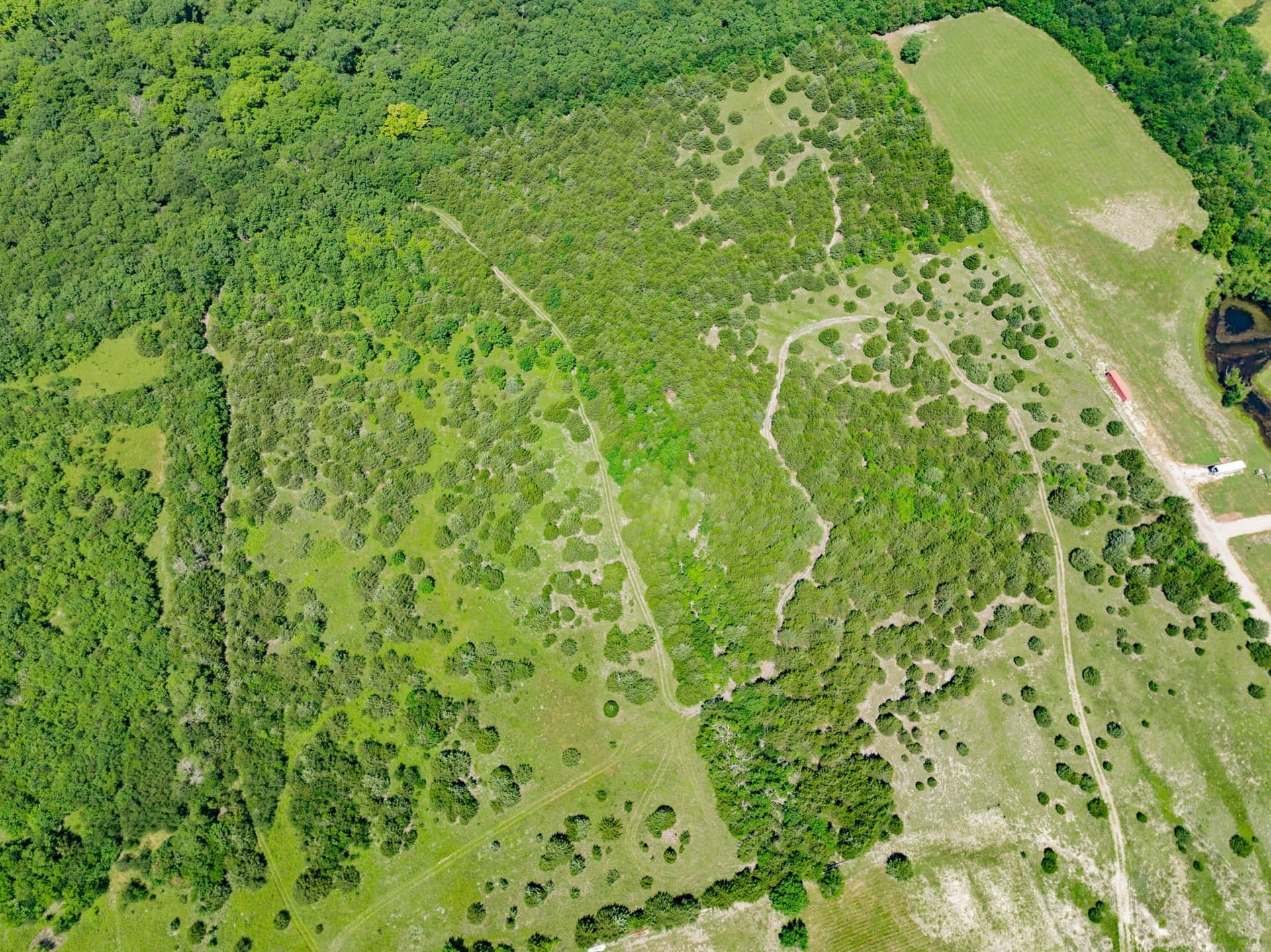 25.51 acres in Hunt County - photo 11