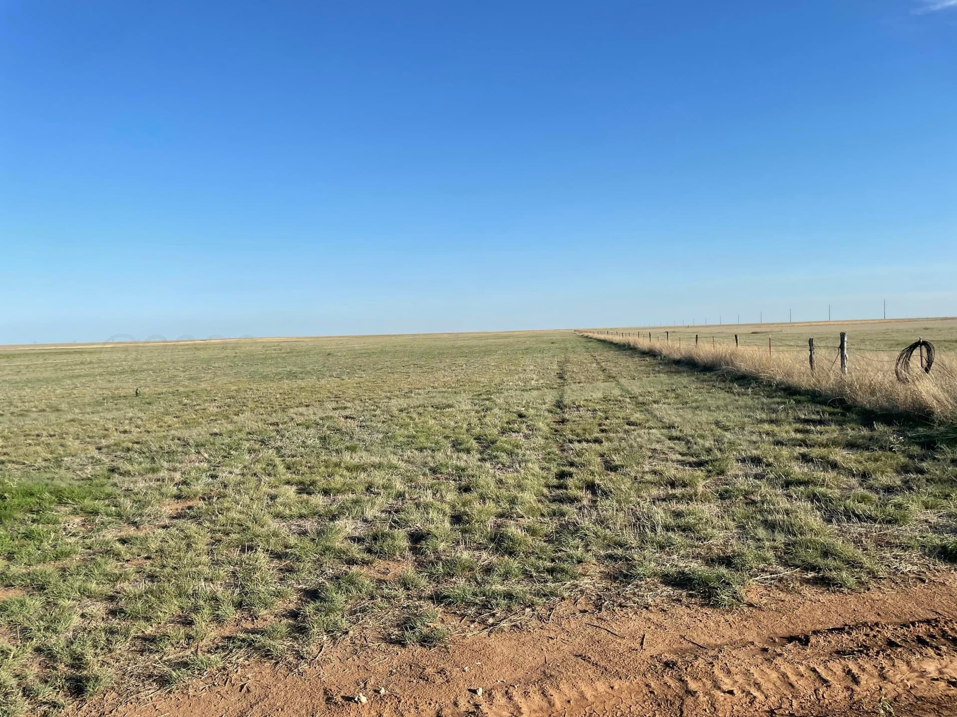 10.13 acres in Randall County - photo 6