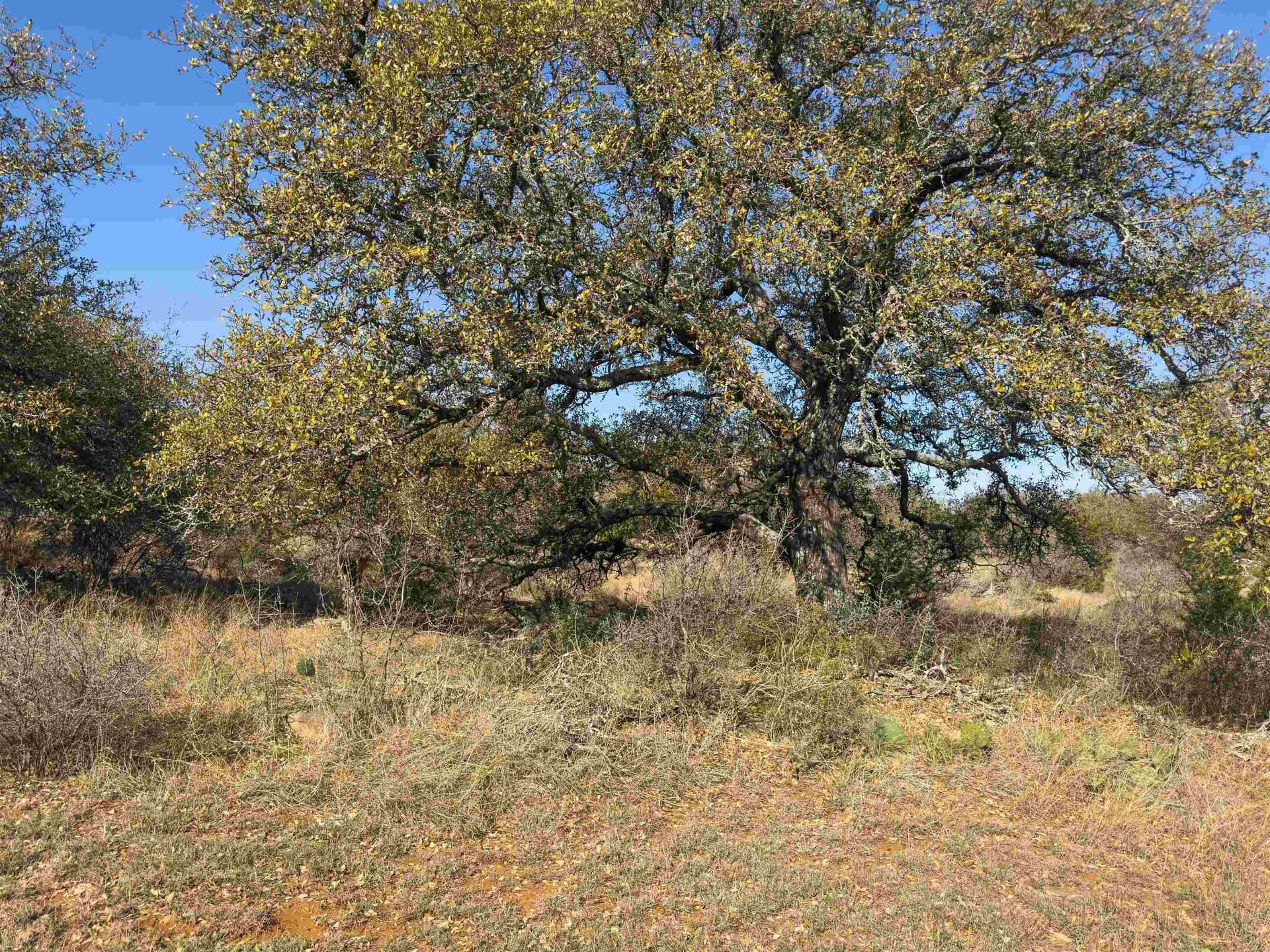 5.02 acres in Blanco County - photo 26