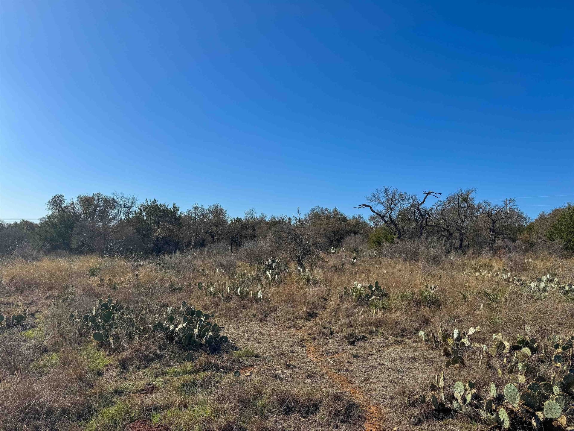 5.02 acres in Blanco County - photo 24
