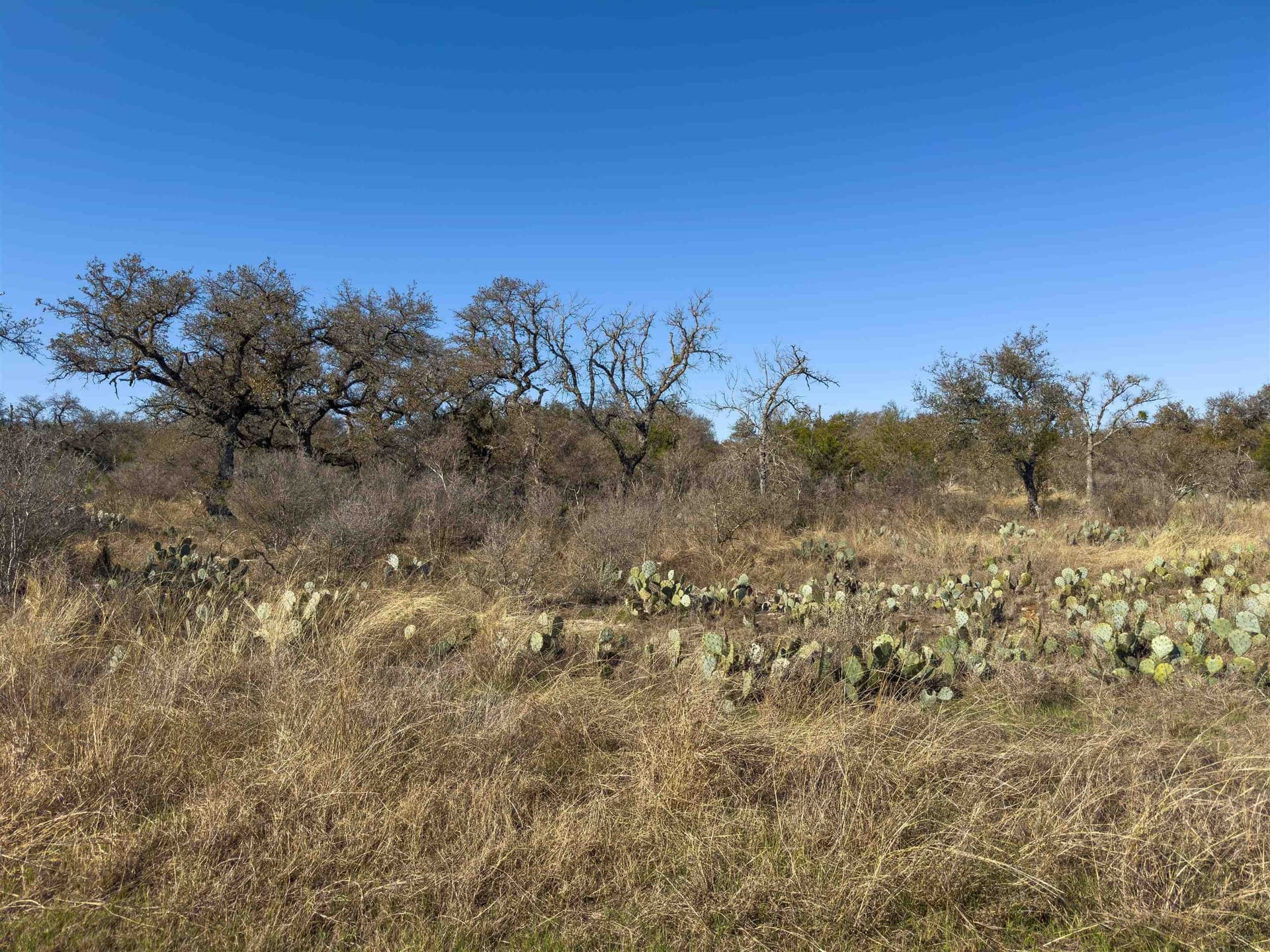 5.02 acres in Blanco County - photo 25