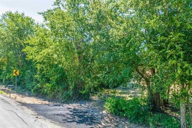 12.4 acres in Lamar County gallery image 3